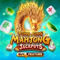 Cam kết chất lượng dịch vụ của K9club chính thức