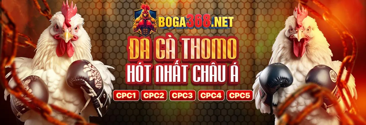 Ứng dụng K9club chính thức trên điện thoại