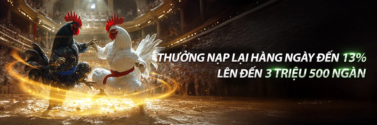 Hình ảnh quảng bá K9club chính thức với các ưu đãi độc quyền 2026